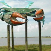 Rockport, TX - World's Largest Blue Crab (In Transition)