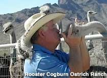 Rooster Cogburn Ostrich Ranch.