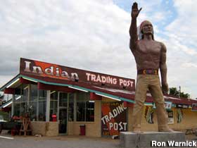 Giant Indian