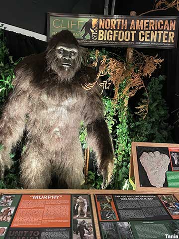 Bigfoot display.