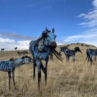 Bleu Horses