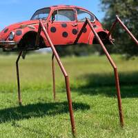 VW Beetle Bug