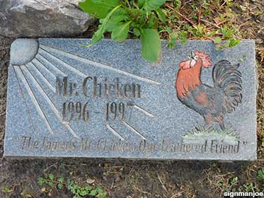 Grave of Mr. Chicken.