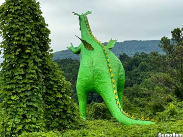 Big Green Dragon.
