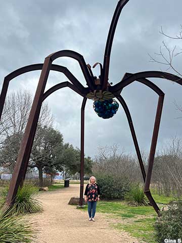 Spider sculpture.